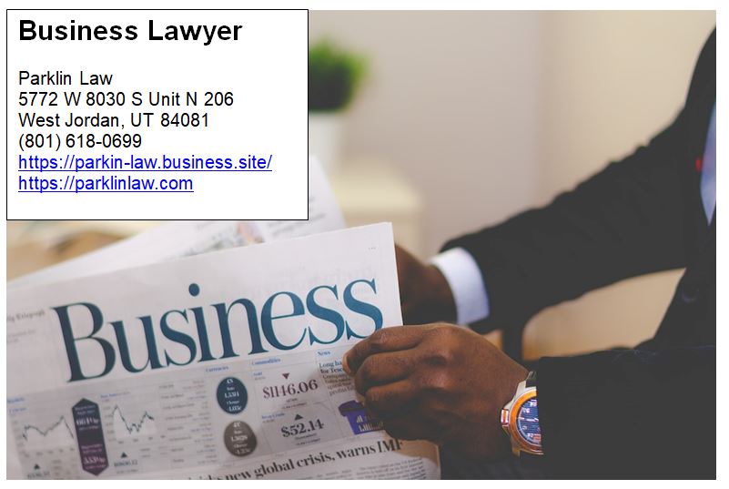 Business Lawyer