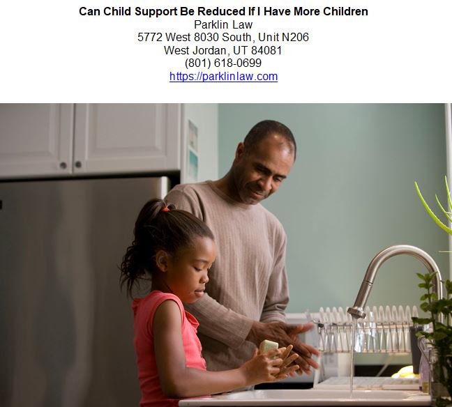 Can Child Support Be Reduced If I Have More Children